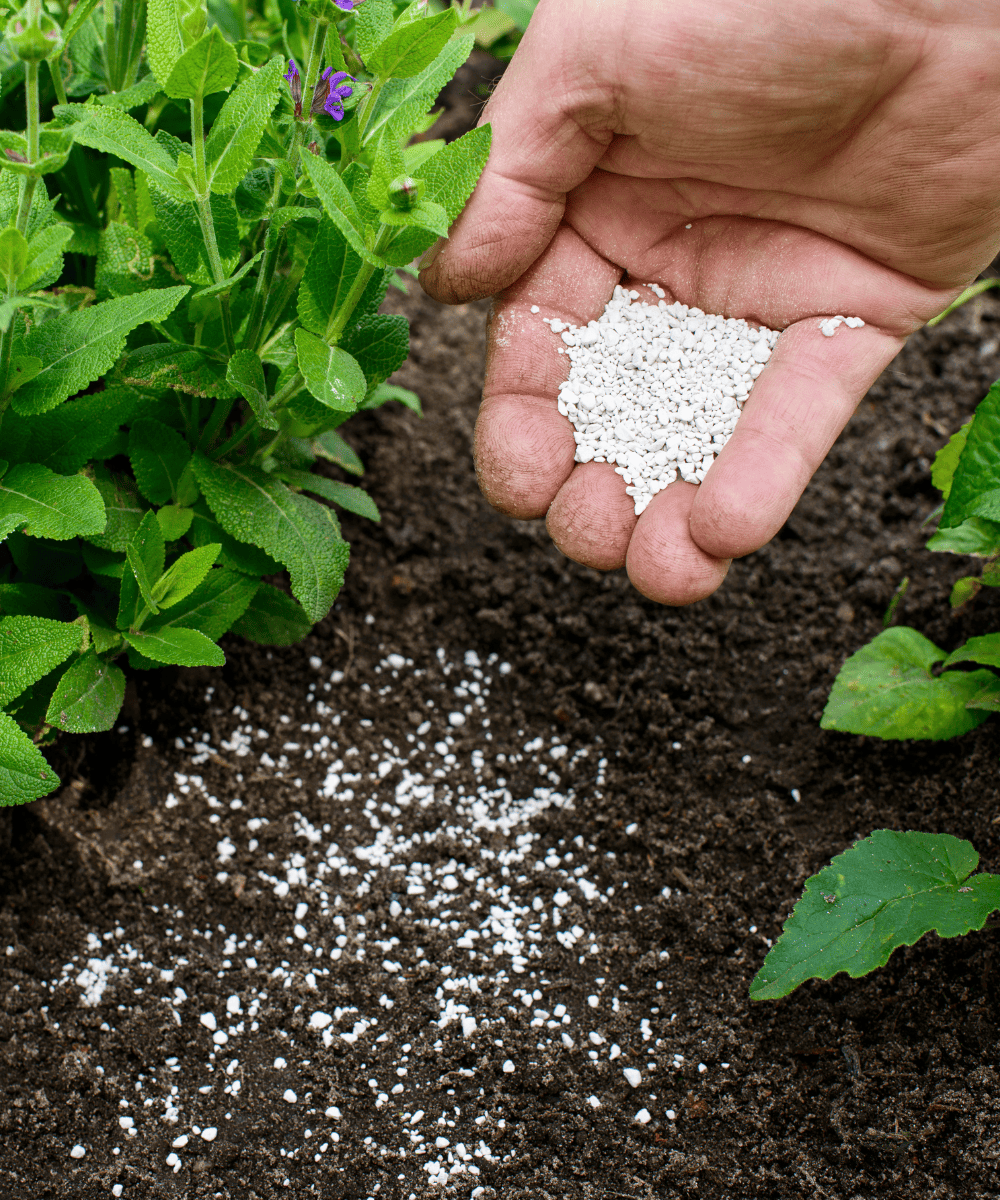Agri Input