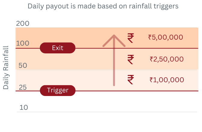 Payout Visualization