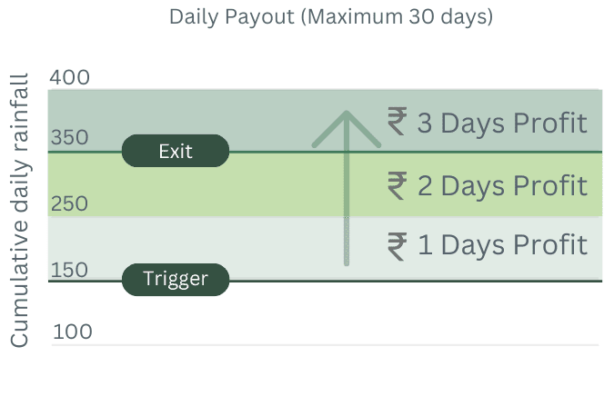 Payout Visualization