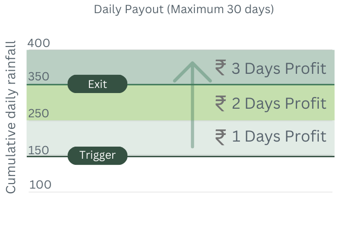 Payout Visualization