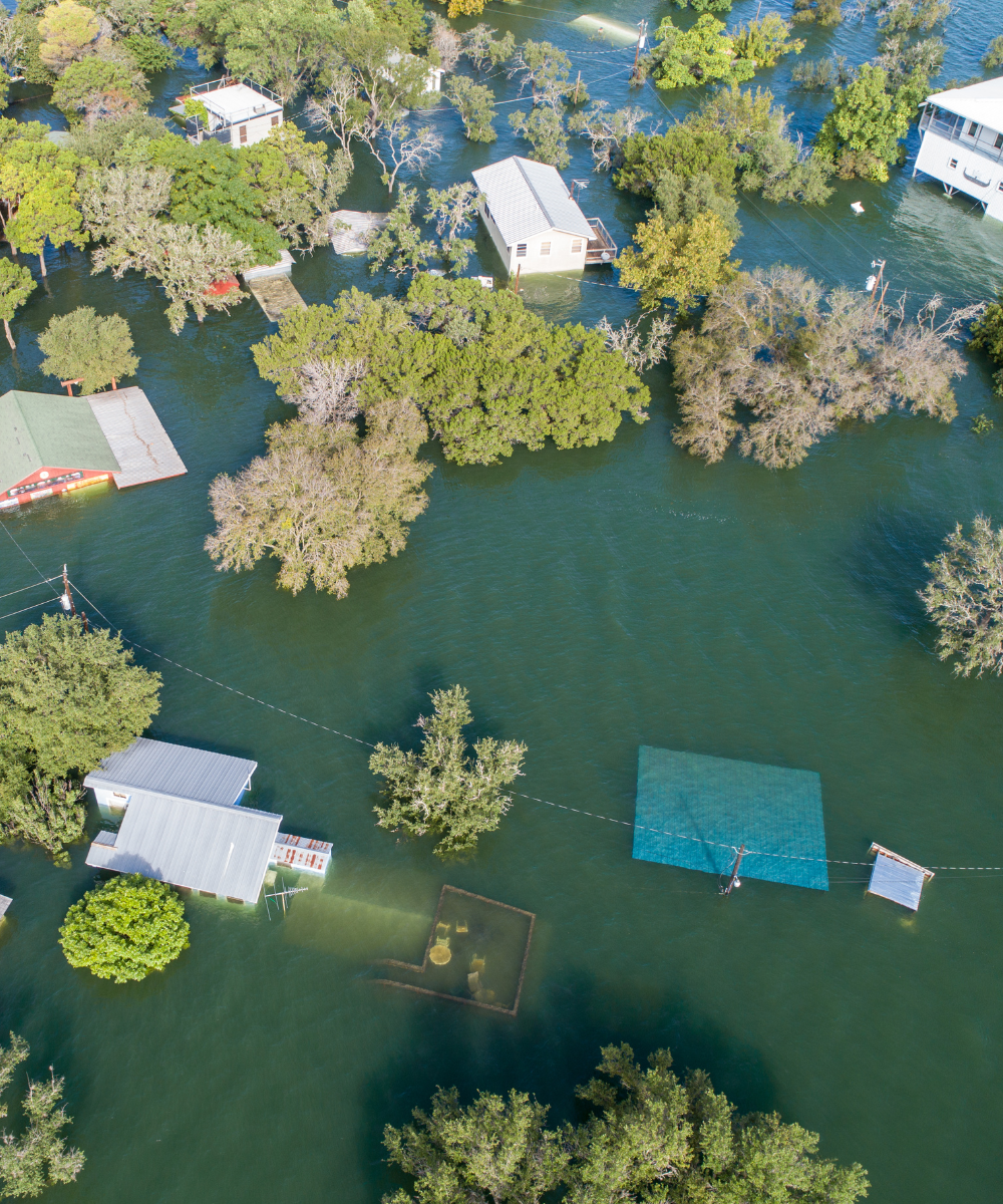 Loss of Business Revenue