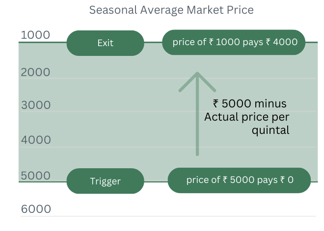 Payout Visualization