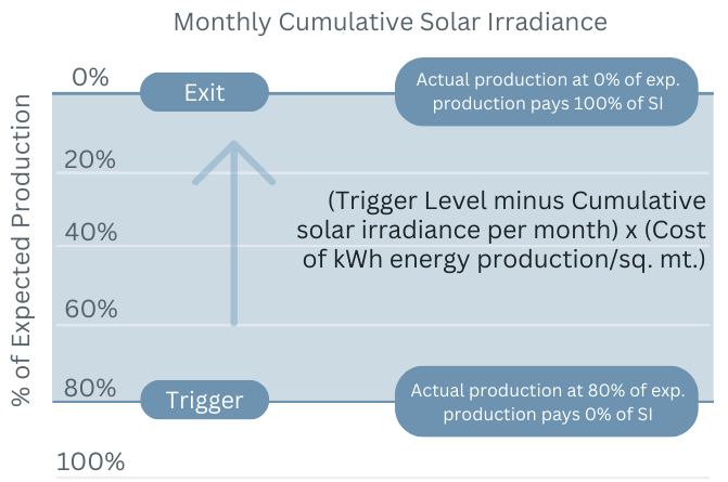 Payout Visualization