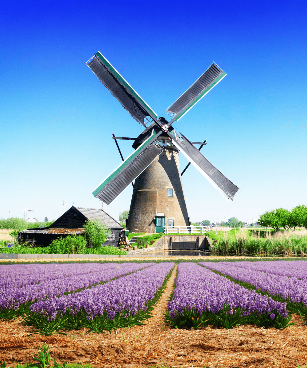 Wind Energy Productivity